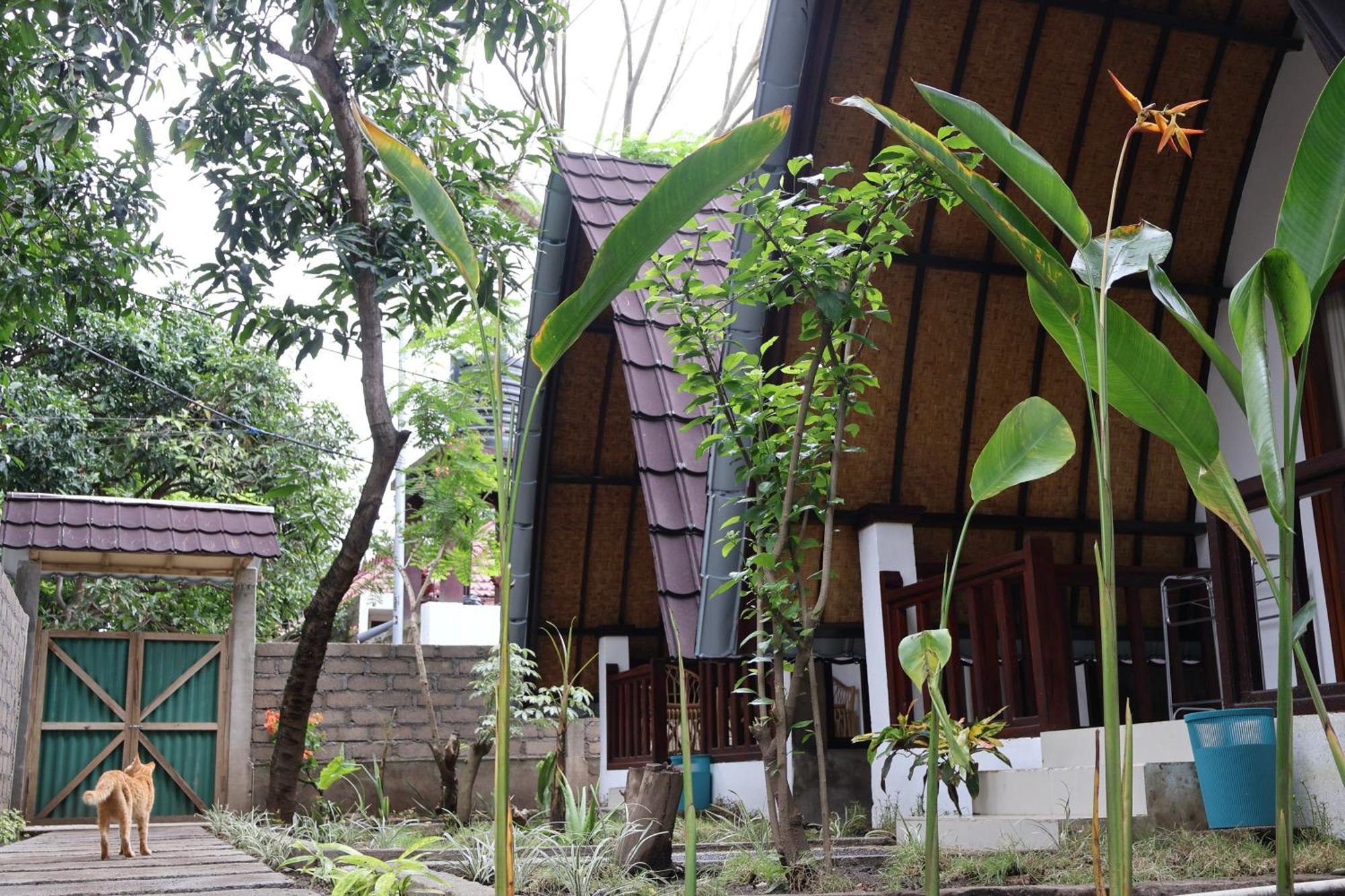 Rumah Gemala Gili Air Dış mekan fotoğraf